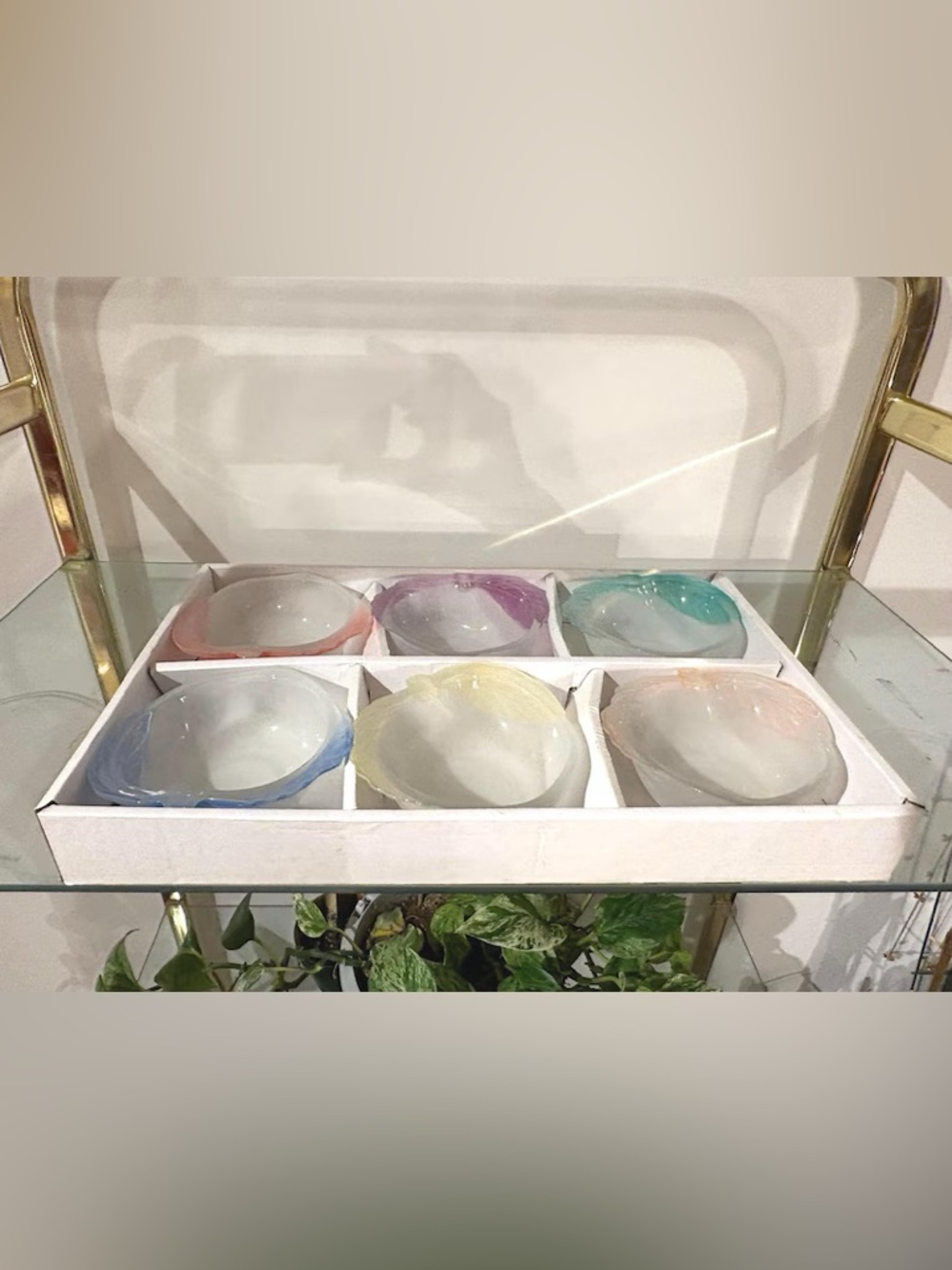 Set of 6 Pastel Rim Glass Ramekins